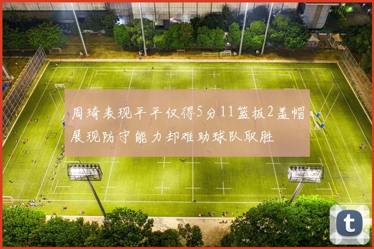 周琦表现平平仅得5分11篮板2盖帽展现防守能力却难助球队取胜